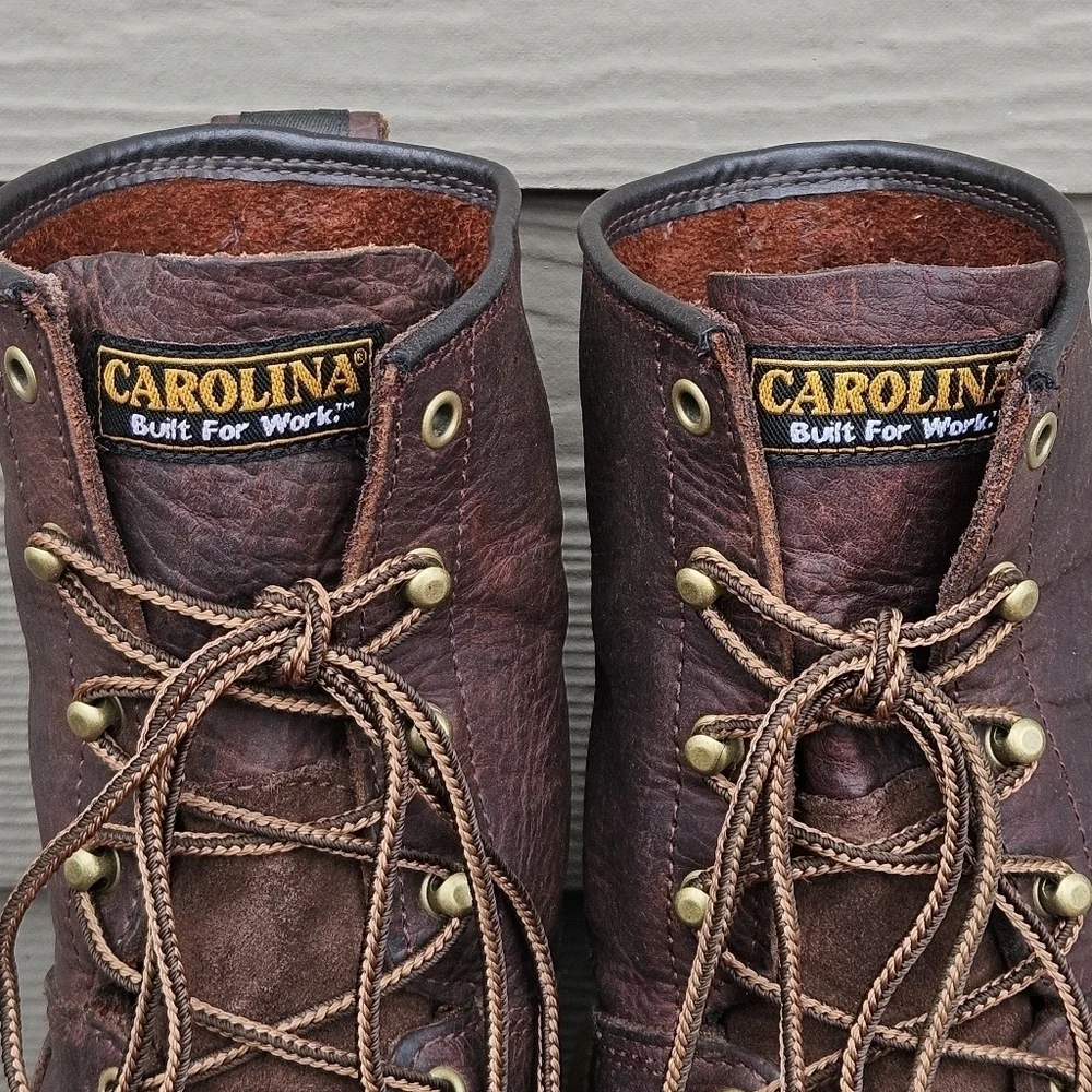 Carolina Elm 8